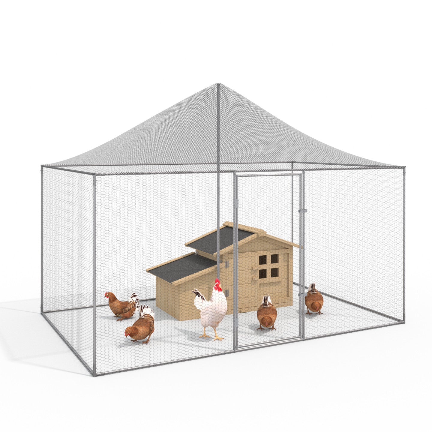 IDMarket - Voliera di 6 m² Pollaio di 3 x 2 M per animali da cortile