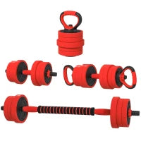 Set Pesi da Palestra 4 in 1 da 30kg, Convertibile in Kettlebell, 2 Manubri, Bilanciere e Supporto Flessioni, Rosso