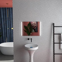 Specchio Bagno con Luce LED a 3 Temperature, Interruttore Touch e Antiappannamento, 70x50cm