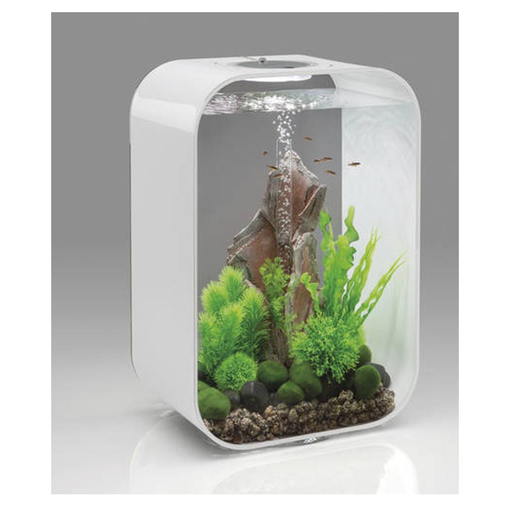 Oase acquario luminoso biorb life 45 litri colore bianco con luci a led colorati
