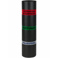 Membrana bituminosa poliestere 4 mm impermeabilizzante casasciutta 1 x 10 m