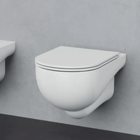 Wc Sospeso Senza Brida Azzurra Ceramica "Nuvola" Bianco Lucido
