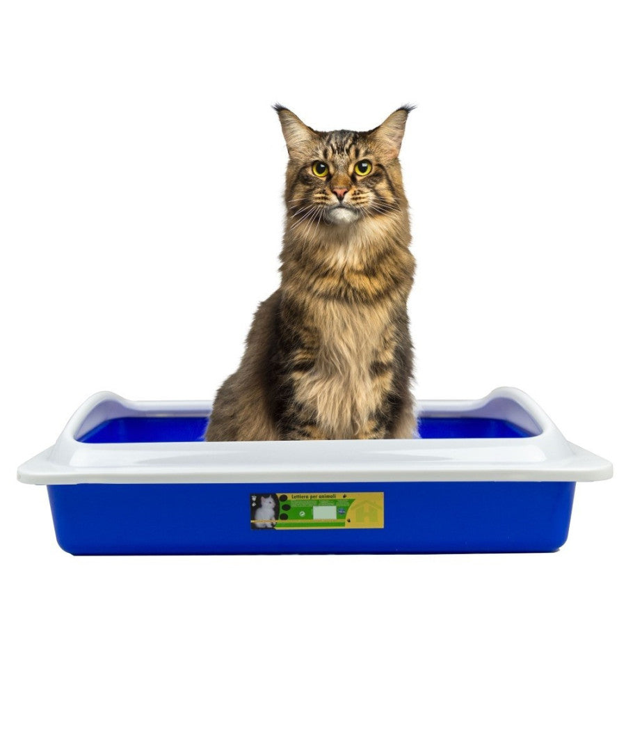 Welkhome Lettiera Con Bordo Rialzato Smontabile Per Gatti Gatto 35 X 45 X 10 Cm         