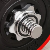 Set 2 in 1 Bilanciere e Manubri Pesi da 30kg, Dischi con Rivestimento in Plastica Antigraffio, Rosso e Nero