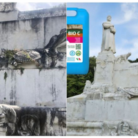 Detergente azione igienizzante pietre intonaci macchie aloni bio c 1 litro