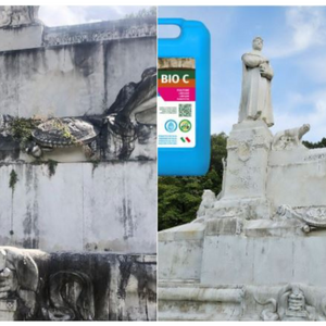 Detergente azione igienizzante pietre intonaci macchie aloni bio c 1 litro