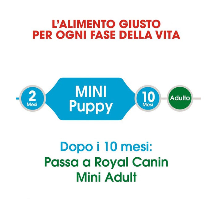 Royal canin mini puppy junior crocchette per cuccioli 3 confezioni da 800 grammi