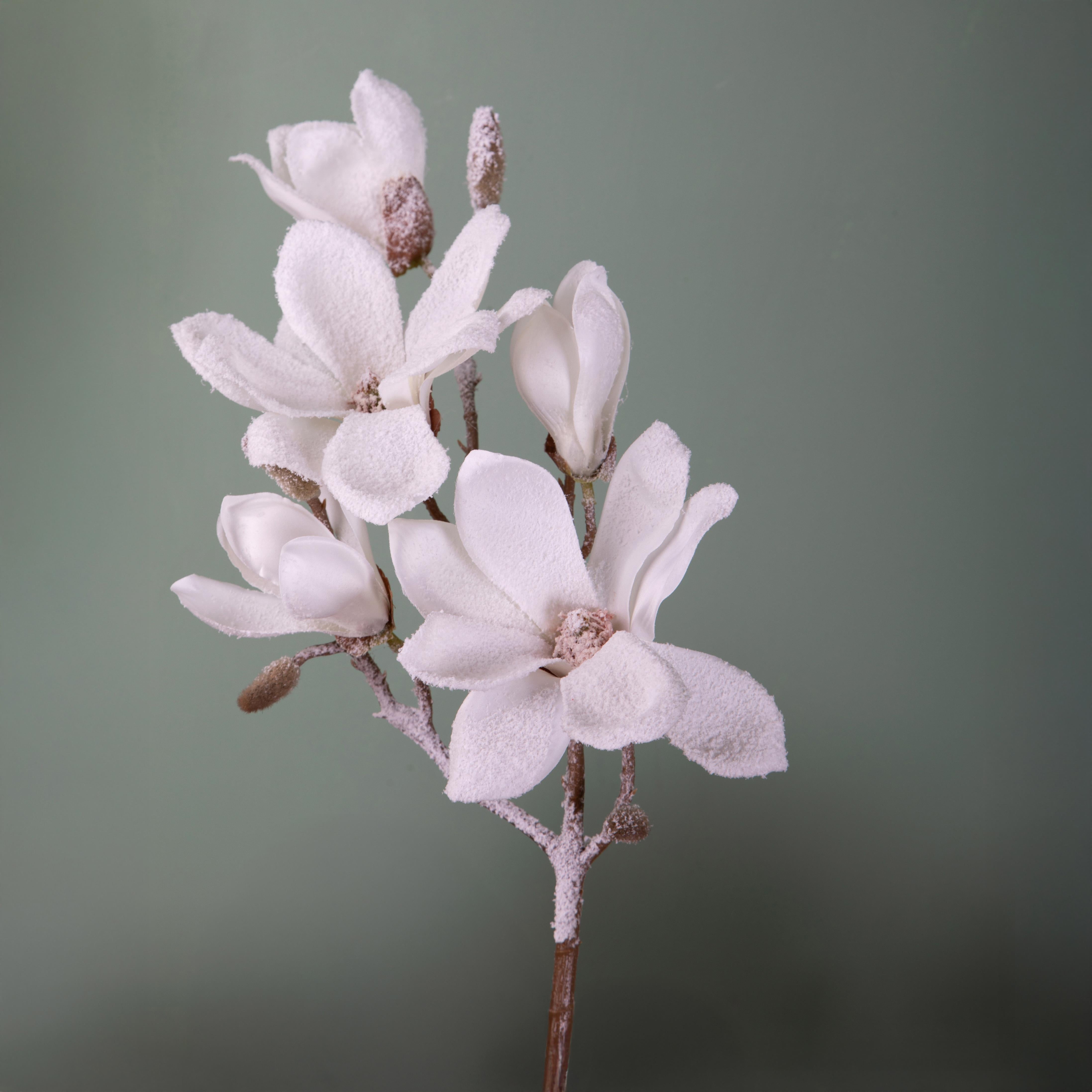 Set 6 Magnolia con 3 Fiori innevata H76 cm Crema