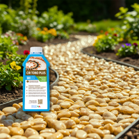 Ciottoli giallo siena effetto bagnato brillante con protettivo cir tono plus *** misura 25/40, formato 5 kg + 1 l, co...