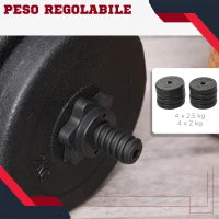 Set Manubri Palestra 20kg (4x2.5kg, 4x2kg) con 8 Dischi da 2kg, 2.5kg, Ø25mm, per Allenamento a Casa