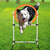 Set Agility Dog Portatile con Anello e Sbarra, Multiuso e Salvaspazio, con Borsa da Trasporto Inclusa, 74.5x66x91cm, Bianco e Arancione