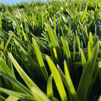 Rotolo prato sintetico oxford larghezza 2 m lunghezza 10 m fili 45 mm sempre verde