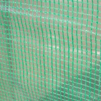 Serra Tunnel da Giardino per Piante e Orto, Serra da Balcone con 2 Porte Avvolgibili e 4 Finestre, Copertura in PE Struttura in Acciaio, 3x1x2m