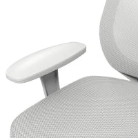 Sedia da Ufficio Ergonomica e Reclinabile ad Altezza Regolabile con 5 Rotelle, 55x48x82.5-94.5 cm, Grigia