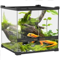 Vetrario in vetro per Rettili, Fondo Rialzato e Impermeabile, Serratura a Scatto