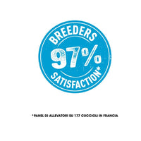 Royal canin mini puppy junior crocchette per cuccioli 3 confezioni da 800 grammi