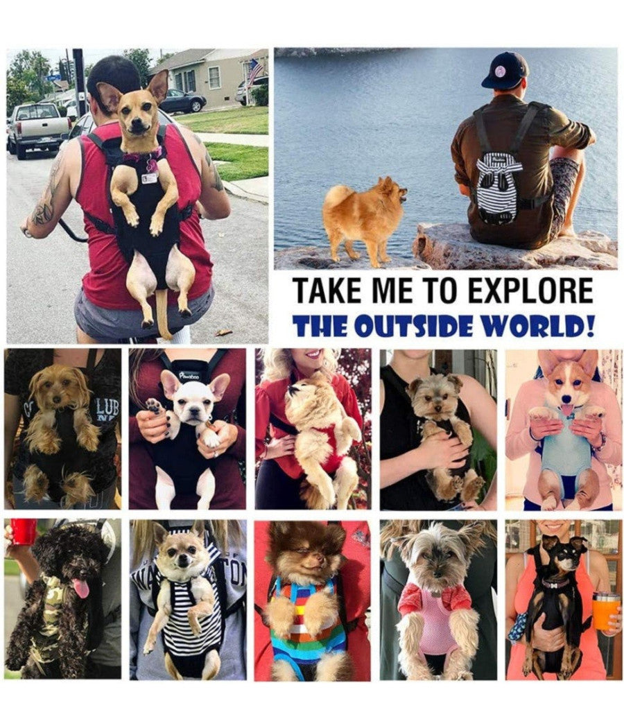 Zaino Per Animali Domestici Traspirante Cani Regolabile Portatile Rete Tg.m Nero         