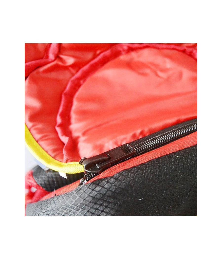 Zaino Per Scuola Gita Tempo Libero Escursioni Hot Weels Schienale Ergonomico         