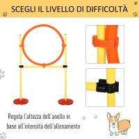 Set Agility Dog 3 Esercizi: Slalom, Ostacoli, Anello, per Addestramento Cani, Portatile, 2.5 kg, Giallo e Rosso