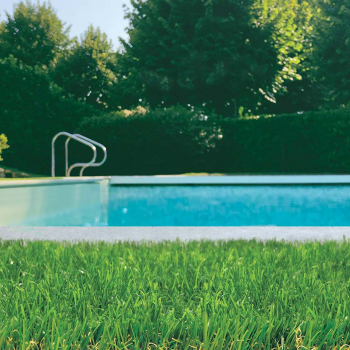 Tappeto erboso sintetico larghezza 2 mt spessore fili erba 25 mm sempre verde *** misura lunghezza 10 mt, confezione 1