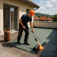 Guaina ardesiata casasciutta impermeabilizzazione tetti terrazze coperture 1x10 m *** colore- verde, confezione 1